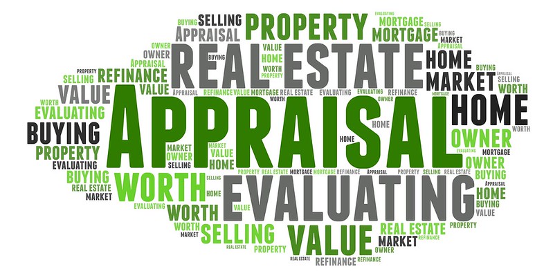 Word cloud containing the word appraisal and synonyms